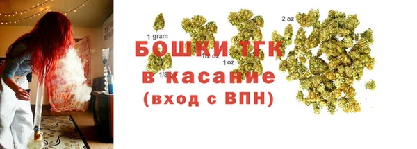 молекула духа Карпинск