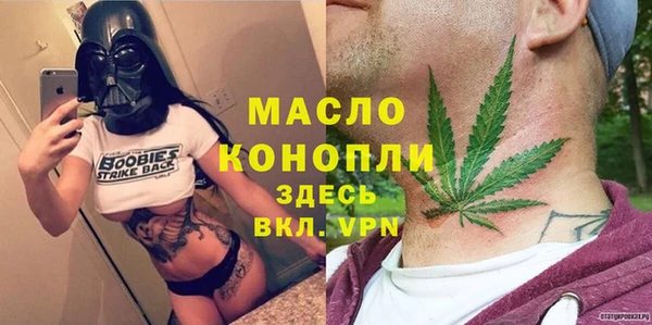 молекула духа Карпинск