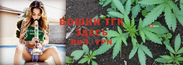 молекула духа Карпинск