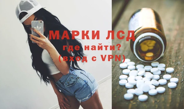 молекула духа Карпинск