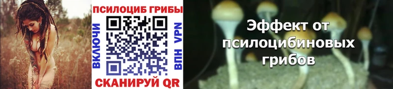 Псилоцибиновые грибы Psilocybe купить закладку Ужур
